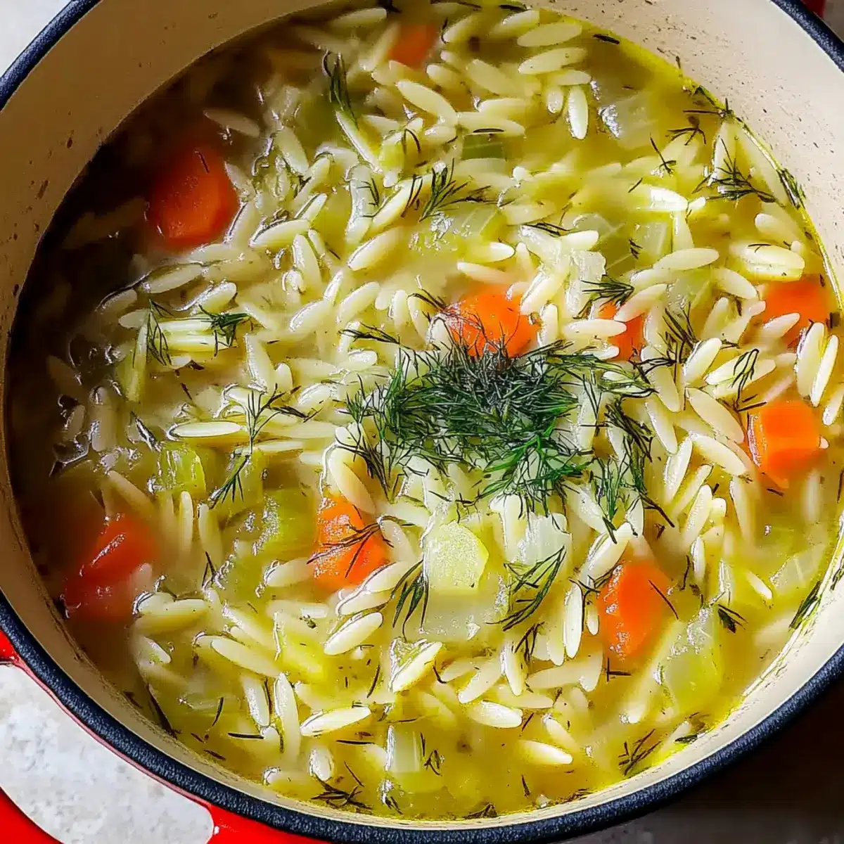 Orzo, Leek and Dill Soup