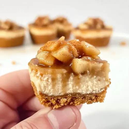 Mini Apple Caramel Cheesecake